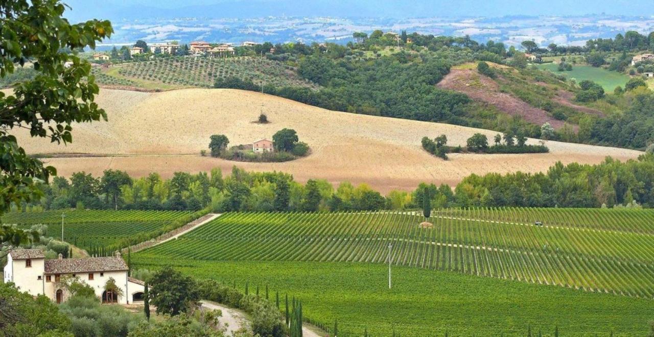 Villa Le Buche Сартеано Экстерьер фото
